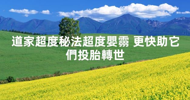道家超度秘法超度嬰霛 更快助它們投胎轉世